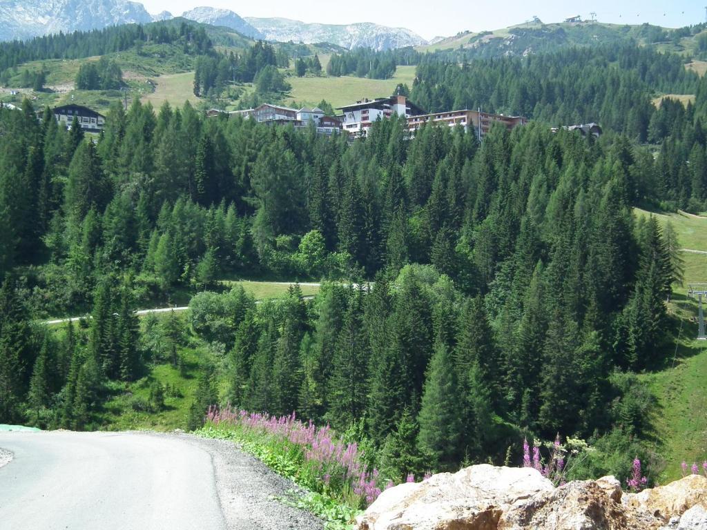 Nassfeld Apartments - "Traditionell Anders" Sonnenalpe Nassfeld Rum bild